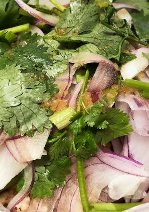 パクチーと紫玉ねぎの豆腐サラダ-レシピのメイン写真