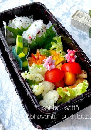 令和6月12日　13日　お弁当-レシピのメイン写真