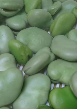 そら豆の塩茹で-レシピのメイン写真