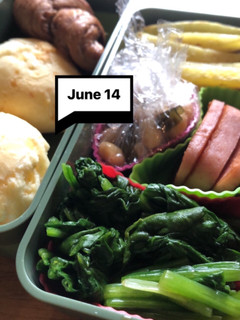 ヤツと私の弁当たまに娘 6/14-レシピのメイン写真