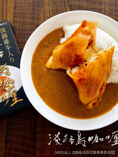 春巻きの皮でフライドピザカレー-レシピのメイン写真