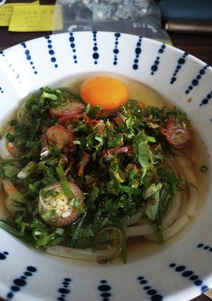 月見うどん薬味たくさんと七味唐辛子-レシピのメイン写真