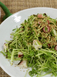 豆苗とタコのサラダ-レシピのメイン写真