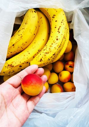 梅の追熟（早い）-レシピのメイン写真