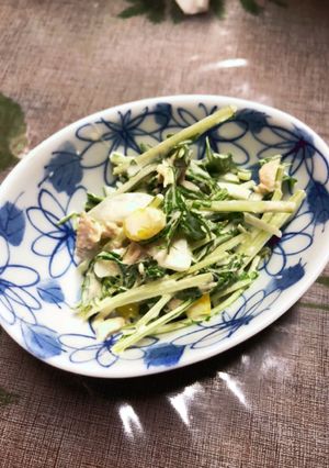 簡単に水菜を大量消費！水菜と玉ねぎサラダ-レシピのメイン写真
