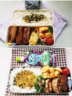 春巻き弁当(6.15)-レシピのメイン写真