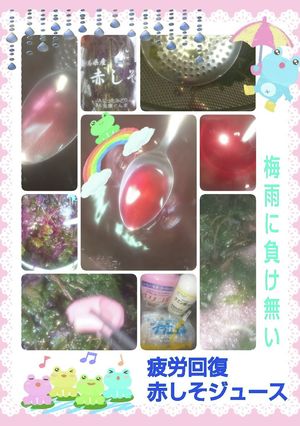 #疲労回復#赤しそジュースHAPPY時間-レシピのメイン写真
