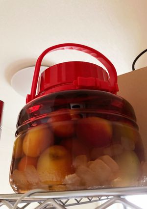 ブランデーリキュールで梅酒-レシピのメイン写真
