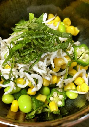 箸がとまらない！オクラのめんつゆ和え-レシピのメイン写真