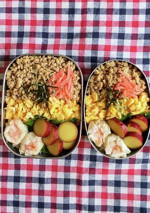 高校生 息子と娘のお弁当 47-レシピのメイン写真