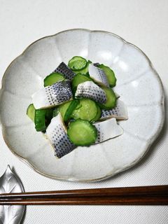 コハダと蛇腹きゅうりの酢の物-レシピのメイン写真