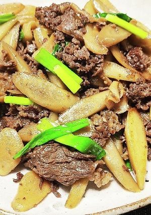 牛肉とごぼうの生姜煮-レシピのメイン写真