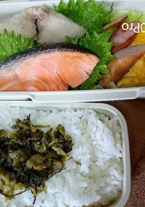6月15日鮭と高菜-レシピのメイン写真