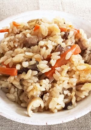 鶏飯-レシピのメイン写真