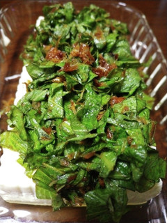 定番だけど盛で美味しい青しそ梅冷や奴-レシピのメイン写真