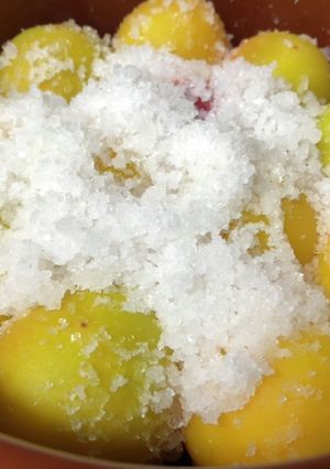 自家製紫蘇梅干し-レシピのメイン写真