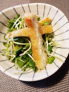 【スタッフ飯】かいわれ大根サラダ-レシピのメイン写真