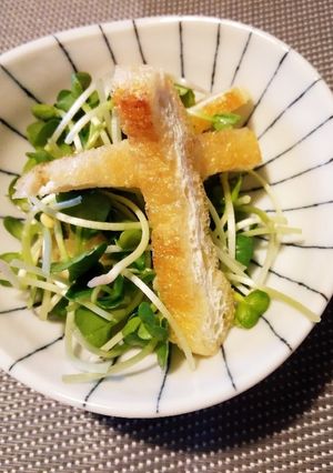 【スタッフ飯】かいわれ大根サラダ-レシピのメイン写真