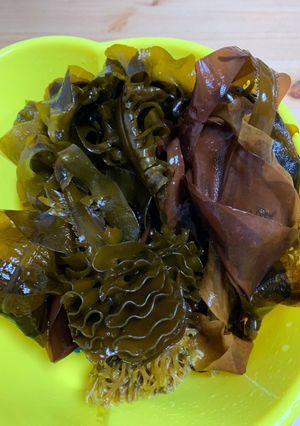 生ワカメの下茹でと冷凍保存-レシピのメイン写真