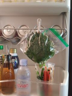 NY食堂★スペース不要★大葉の保存-レシピのメイン写真