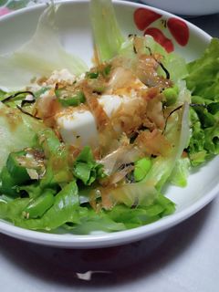 簡単☆ヘルシー豆腐サラダ-レシピのメイン写真