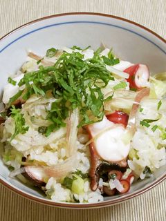 タコの後のせ炊き込みご飯-レシピのメイン写真