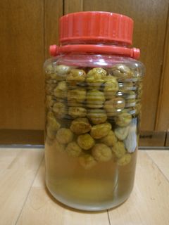 冷凍にしなくても作れる梅シロップ-レシピのメイン写真