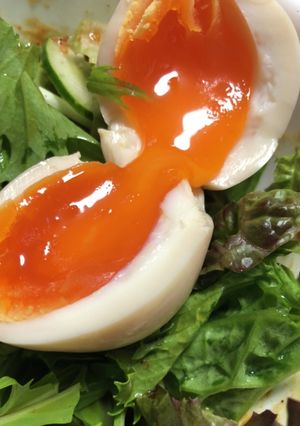 味玉に!アゴだしで最高に簡単美味しい-レシピのメイン写真