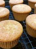 Vanilla Cupcakes