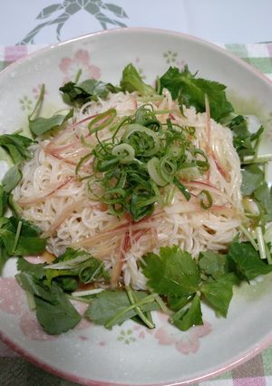 ぶっかけそうめん-レシピのメイン写真