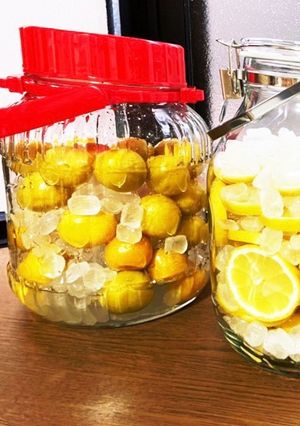 梅シロップ・レモンシロップで水分補給！-レシピのメイン写真