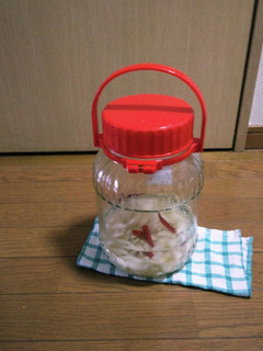 失敗塩らっきょう復活(≧∇≦)b-レシピのメイン写真