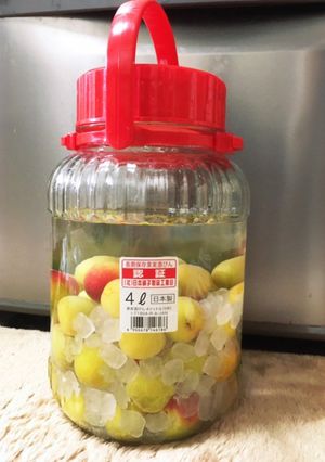 南高梅の美味しい梅酒-レシピのメイン写真