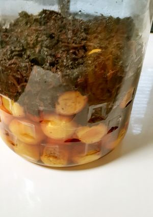 梅干し♡来年も作るために～♡-レシピのメイン写真
