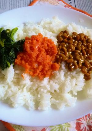 納豆・辛子明太子&ポパイのカフェ丼-レシピのメイン写真