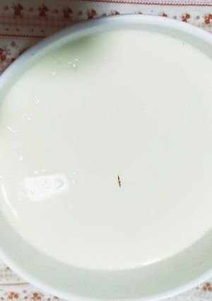 完全植物性由来の豆乳ヨーグルト-レシピのメイン写真