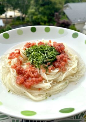 白出汁で梅素麺-レシピのメイン写真