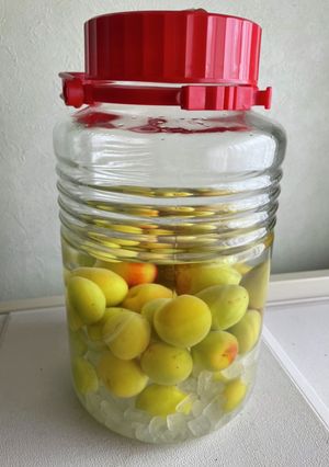 梅酒作り-レシピのメイン写真