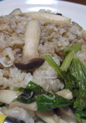 じゃことセロリの炒飯-レシピのメイン写真
