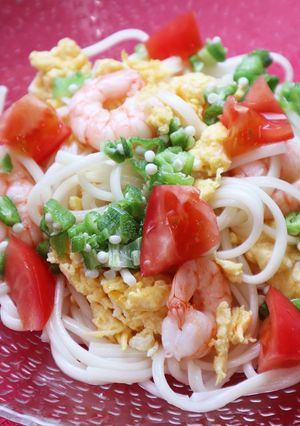 彩りぶっかけそうめん-レシピのメイン写真