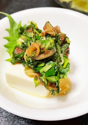 刻むだけ！さっぱり薬味の冷奴-レシピのメイン写真