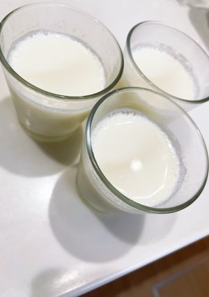 シンプルな牛乳プリン　-レシピのメイン写真