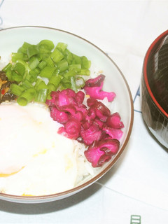 ごま塩ご飯の温玉漬物のっけ-レシピのメイン写真