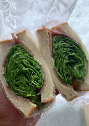 レタスぎゅーぎゅー詰めサンドイッチ-レシピのメイン写真