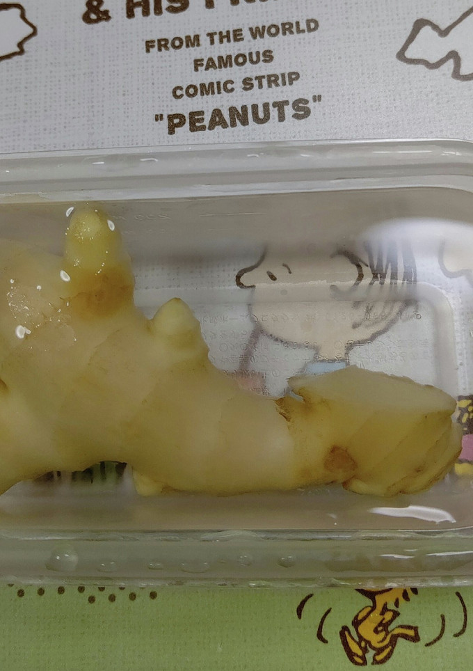生姜を新鮮に保存する方法-レシピのメイン写真