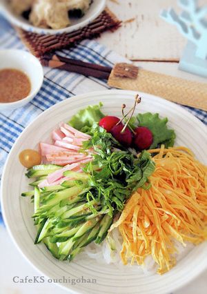 さっぱりヘルシー糸こんにゃくで冷やし中華-レシピのメイン写真