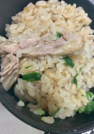 炊飯器におまかせカオマンガイもどき-レシピのメイン写真