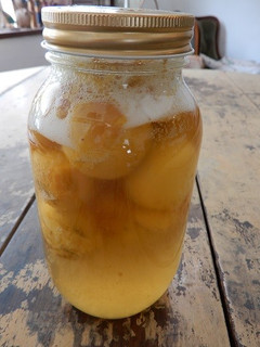 黄色梅で酵母仕込み 仕込みだけ-レシピのメイン写真