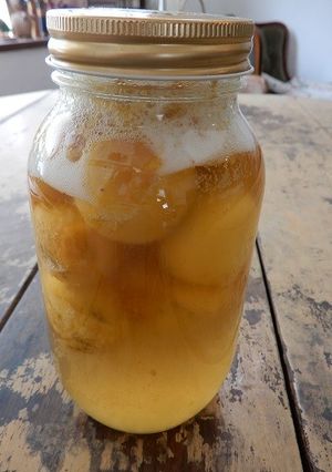 黄色梅で酵母仕込み 仕込みだけ-レシピのメイン写真