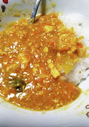 夏バテ対策カレー-レシピのメイン写真